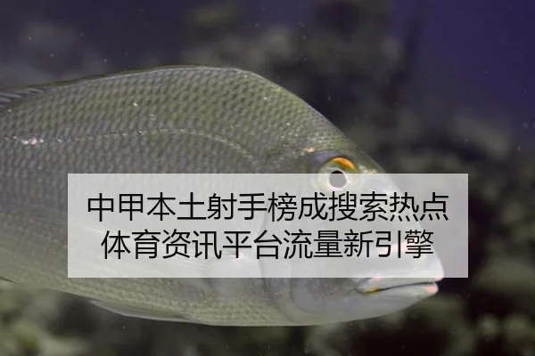 中甲本土射手榜成搜索热点 体育资讯平台流量新引擎